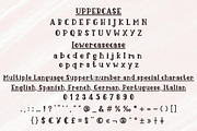 Cute Ladybug - Script Handwritten, a Handwritten Font by Charmingbear59.design (Thumbnail 5 of 5)