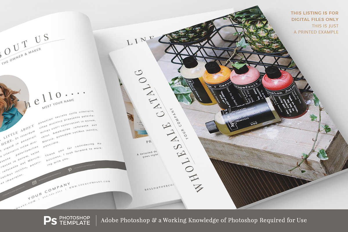 Wholesale Catalog Template PHOTOSHOP, a Magazine Template by Digiluxe (Photo 3 of 4)