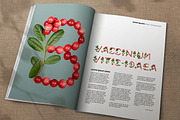Cowberry Font, a Font by Handmadefont (Thumbnail 7 of 8)