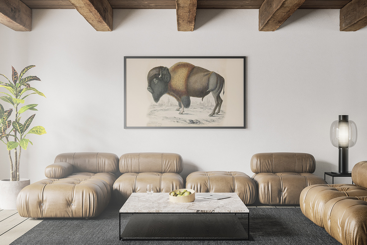 A Journal of Natural History, an Animal Illustration by Dene Studios (Photo 4 of 10)
