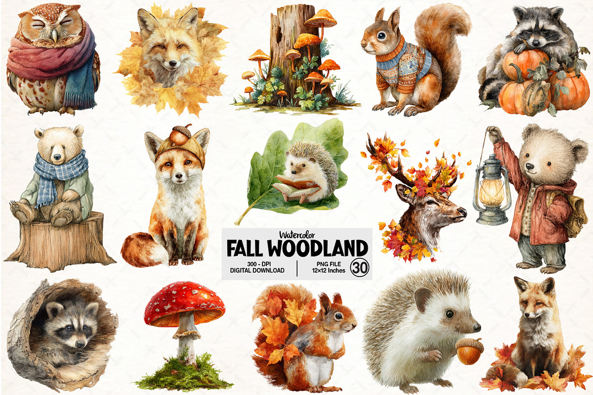 Watercolor Fall Woodland Clipart, an Illustration by Pixels.Craft (Photo 1 of 7)