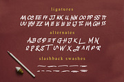 Slashback Typeface, a Font by Arterfak Project (Thumbnail 6 of 9)