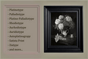 Platinum Palladium Prints LUTs, a Plug-in Add-On by Raztrend (Thumbnail 2 of 32)