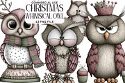 Whimsical Christmas Owl Clipart, an Illustration by Daily.Designs (Thumbnail 1 of 5)