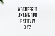 Mahlon Serif Font Family Pack, a Sans Serif Font by Creativetacos (Thumbnail 2 of 5)
