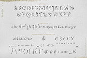 Magic Ivy. Botanical Font., a Serif Font by AnMark (Thumbnail 14 of 15)