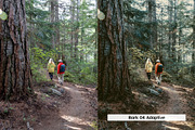 20 Vintage Nature Lightroom Presets, a Preset Add-On by SparkleStock (Thumbnail 6 of 17)