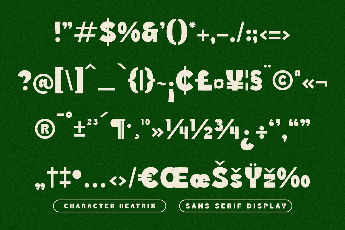 Heatrix Sans Serif Display, a Sans Serif Font by Storytype Studio (Photo 6 of 15)