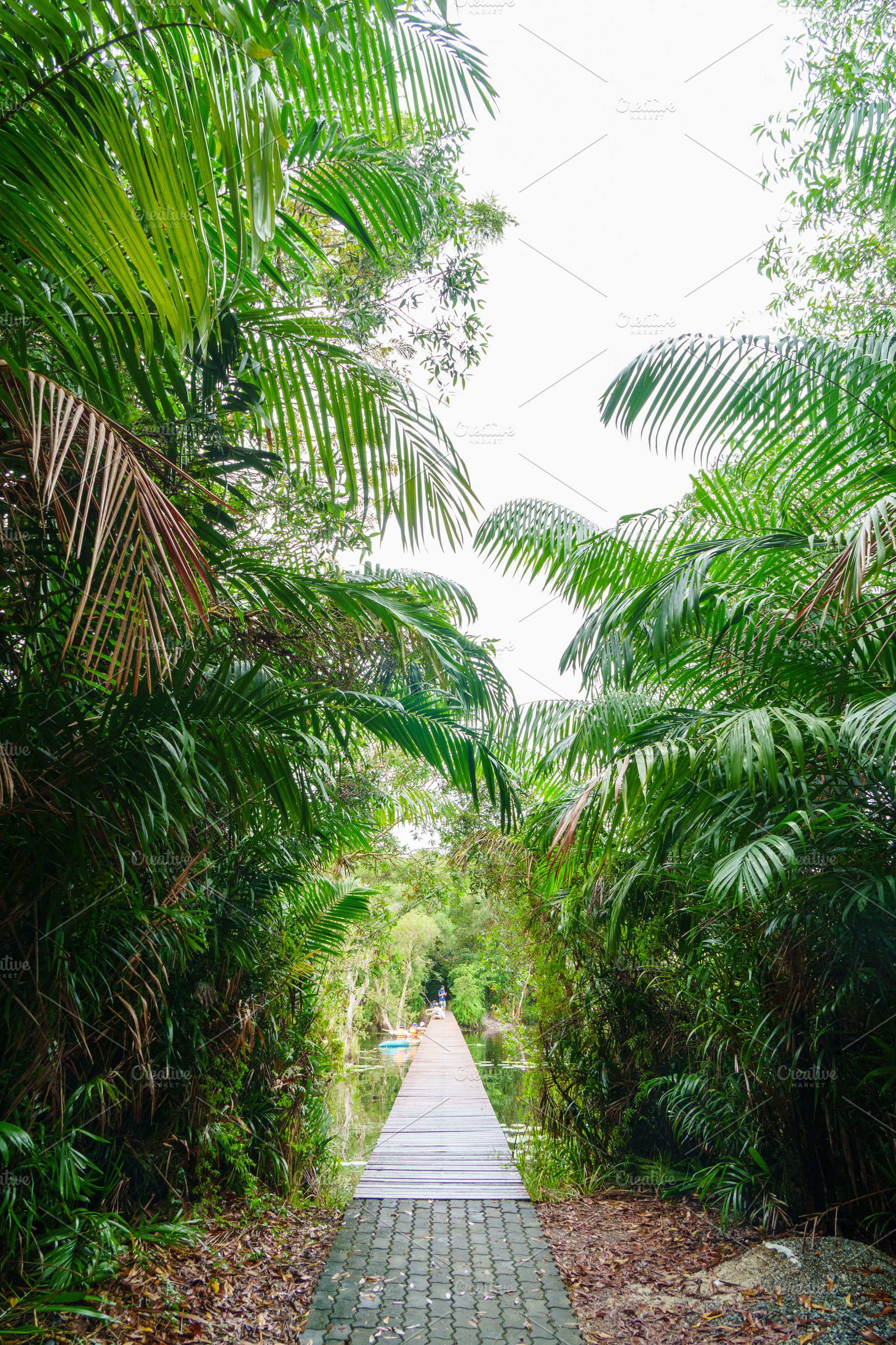 serene pathway through lush greenery leads to tranquil waterway, a Nature Photo by a454