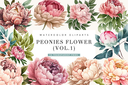 Peonies Flowers Clipart Vol.1, a Decorative Illustration by BusyDaydesign