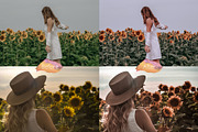 Sunflowers - Lightroom Presets Lr, a Preset Add-On by Uno Creative Studio (Thumbnail 4 of 4)