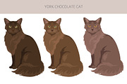 York Chocolate cat clip art, an Animal Illustration by pet design shop (Thumbnail 3 of 4)