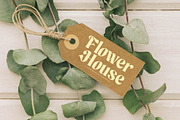 Maker Today Modern Retro Serif, a Serif Font by timelesstype.co (Thumbnail 4 of 15)