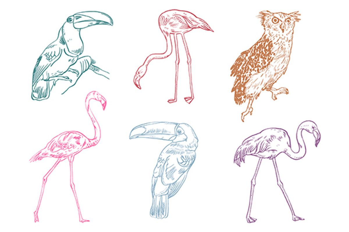 TROPIC SET, an Animal Illustration by Tanya Akhmett (Photo 4 of 5)