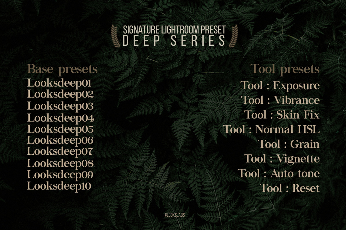 DEEP Series - Lightroom Presets, an Action Add-On by Lookslabs (Photo 11 of 11)