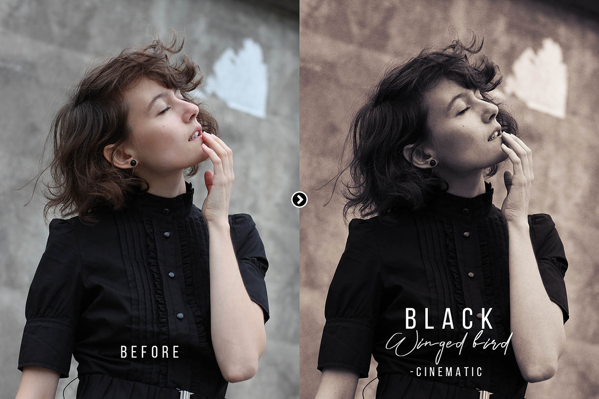 Black Winged Bird Photoshop Action, an Action Add-On by FilterAtelier (Photo 6 of 7)