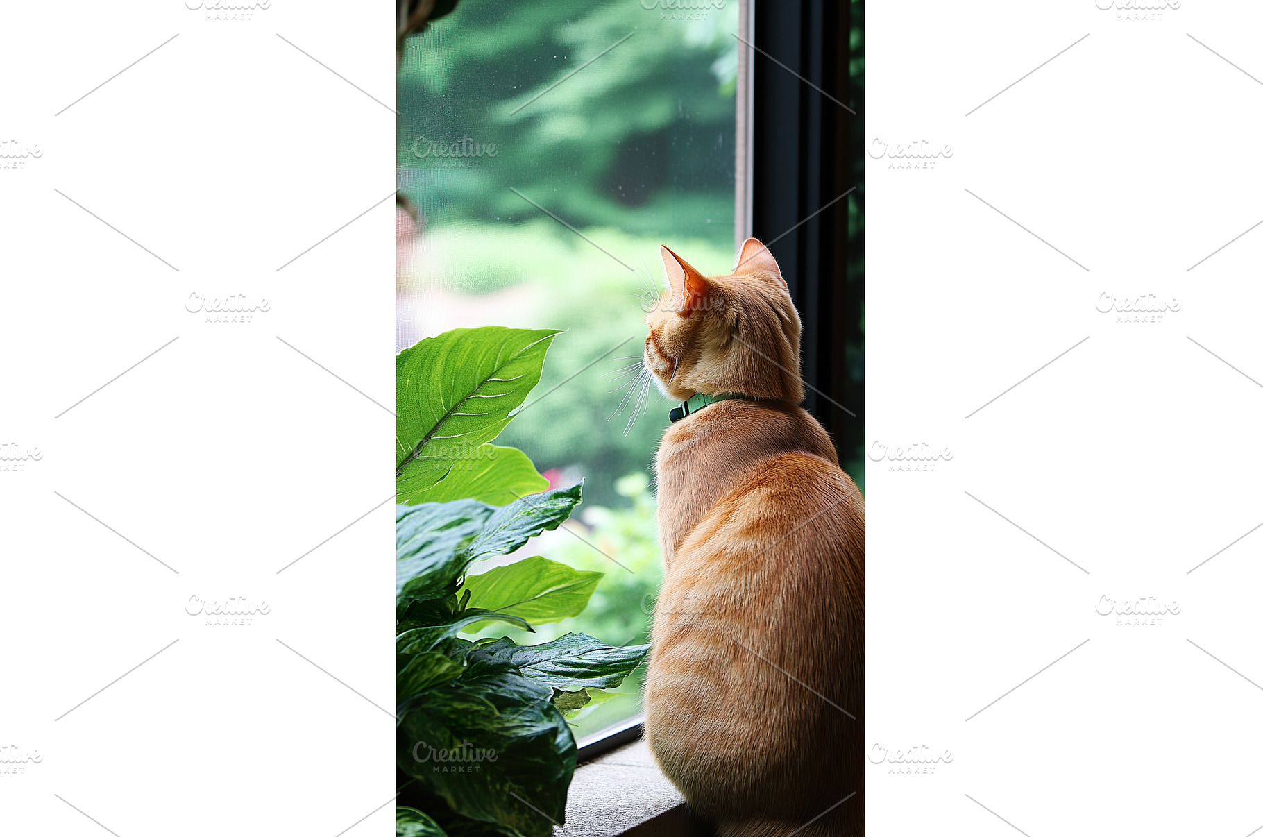 Orange tabby cat sitting on window, an Animal Photo by Lermont51