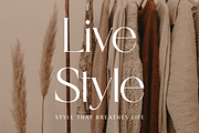 Gisella An Aesthetic Display Serif, a Serif Font by Prestige Artsy Studio (Thumbnail 9 of 10)