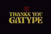 Banner, a Serif Font by Gatype (Thumbnail 11 of 11)