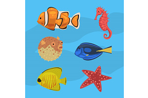 Fish and Marine Mammals as Sea and, an Animal Illustration by TopVectors