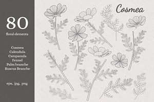 Summer Flowers. Line Art Floral Set.