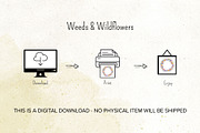 Weeds & Wildflowers Design Set, an Illustration by Maggie Stilwell Design (Thumbnail 15 of 16)