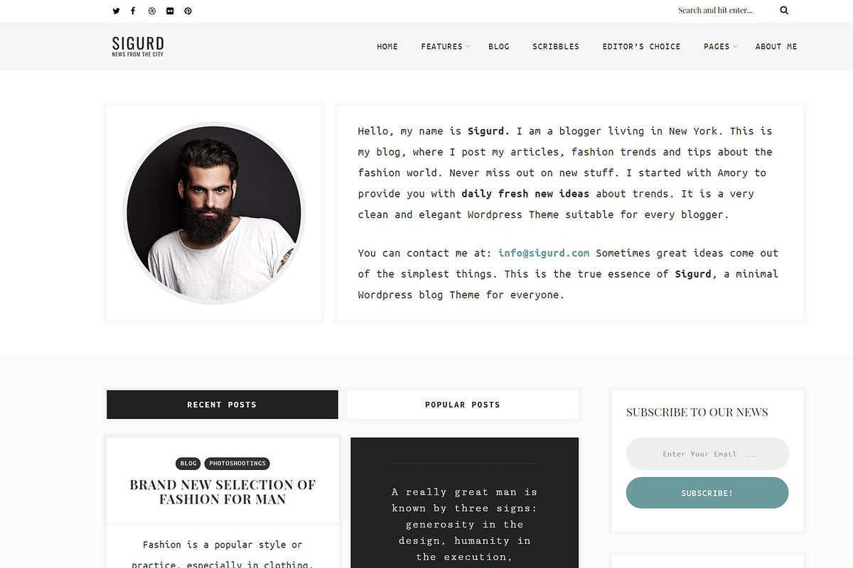 Sigurd – WordPress theme for writers, a WordPress Template by PremiumCoding (Photo 3 of 4)