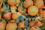 Alur Symphony Handwritten Brush Font, a Handwritten Font by Perplexitics (Thumbnail 2 of 10)