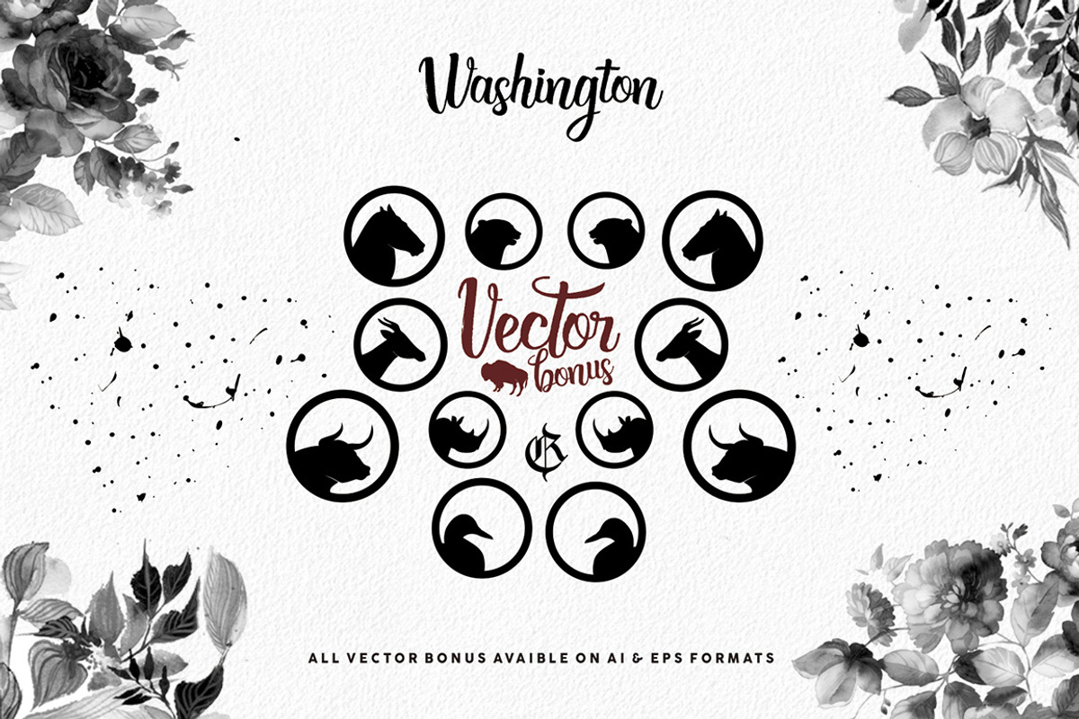 Washington + bonus (introsale) preview 6