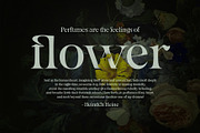 Gegor - Serif Medieval Display Font, a Serif Font by Balibilly Design (Thumbnail 12 of 15)