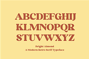Bright Almond, a Serif Font by zeenesia (Thumbnail 11 of 17)