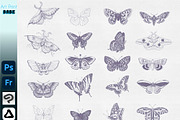 Photoshop Butterfly Stamp ClipStudio, a Brush Add-On by ArtPrintBabe (Thumbnail 5 of 6)