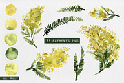 Mimosa. Yellow watercolor flowers., an Illustration by Noli Molly Store (Thumbnail 2 of 6)