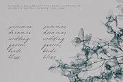 Queenly. Handwritten Font, a Script Font by AnMark (Thumbnail 14 of 15)