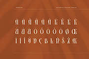 Widderstein, a Serif Font by ilhamtaro (Thumbnail 10 of 12)