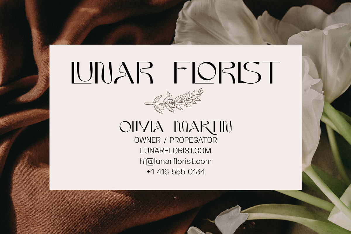 Kaldera - Modern Sans Serif Display, a Font by Surplus Type Co (Photo 5 of 11)