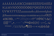 Vellany Disco, a Serif Font by Craft Supply Co. (Thumbnail 8 of 8)