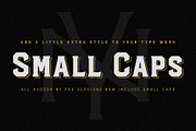 Hudson NY - Pro Edition, a Sans Serif Font by Arkitype (Thumbnail 16 of 19)