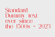 Lecherously Modern Serif Font, a Serif Font by UICreative (Thumbnail 11 of 13)