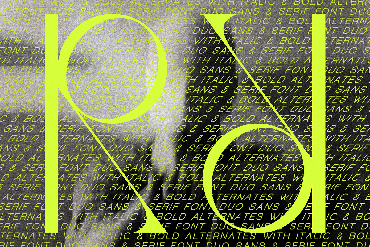 Quarx - Sans & Serif Modern Font Duo, a Sans Serif Font by SilverStag Type Foundry (Photo 14 of 18)