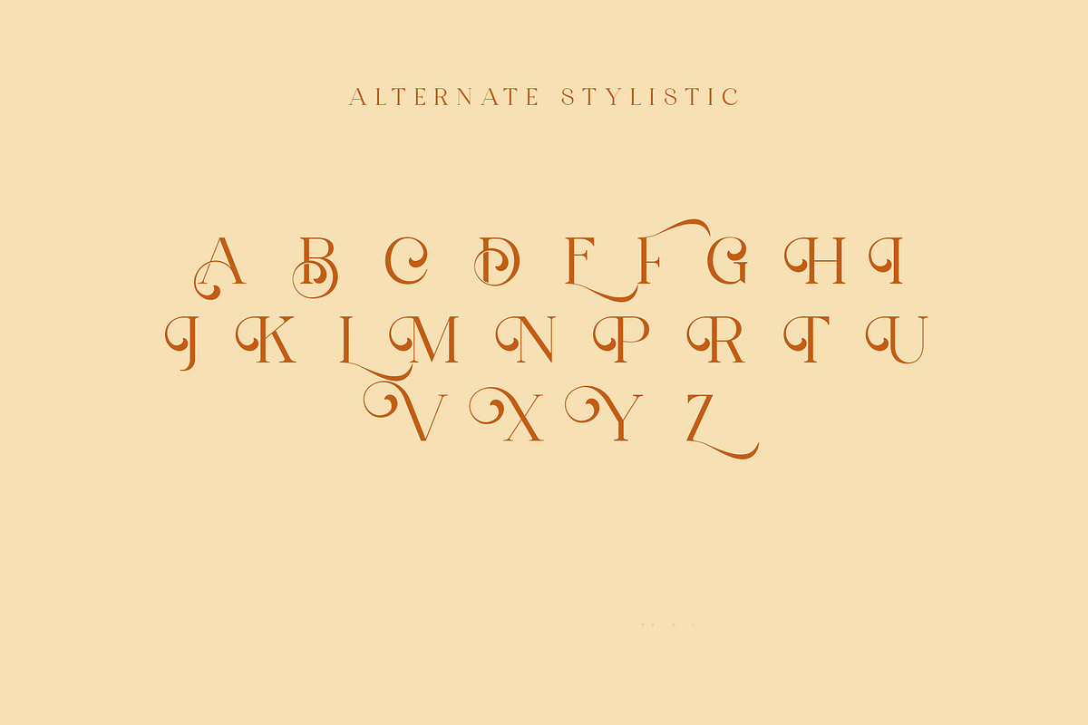 Wondershine, a Serif Font by INKSUN™ (Photo 8 of 14)