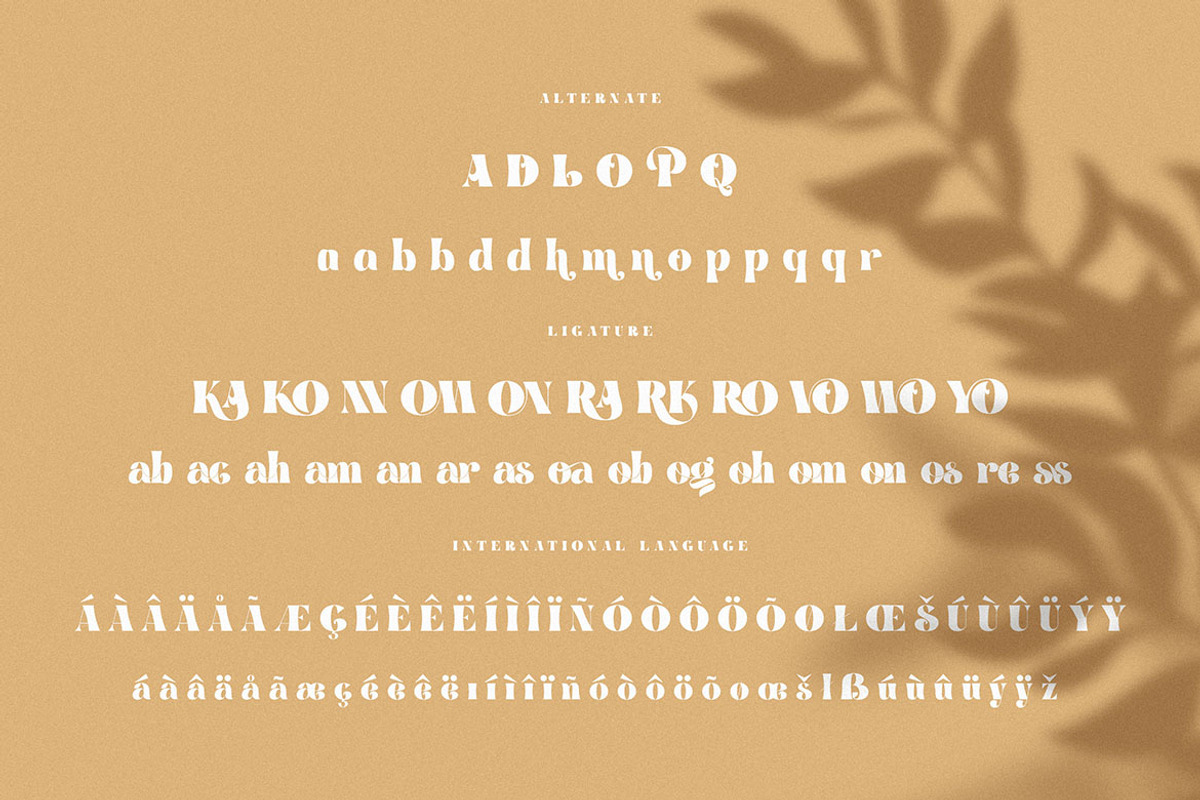 Brenham - Trendy Serif Font, a Serif Font by Cruzine (Photo 6 of 8)