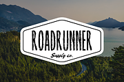 Raynexter – Condensed Brush Font, a Sans Serif Font by Fikryal Studio (Thumbnail 7 of 11)