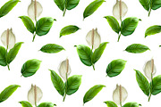 Anthurium flowers, a Pattern Graphic by Sundra (Thumbnail 11 of 15)