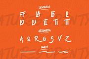 Rodelika | Modern Brush, a Script Font by Denustudios (Thumbnail 12 of 14)