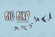 Amotir Bold Brush Display Font, a Sans Serif Font by Giant Design (Thumbnail 4 of 10)