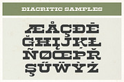 Palm Ridge Midcentury Southwest Font, a Serif Font by Molly Suber Thorpe (Thumbnail 13 of 15)