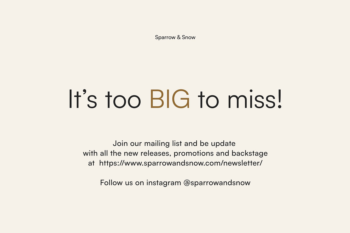 4in1 BigBundle Newsletter Templates, an Email Template by Sparrow & Snow (Photo 39 of 39)
