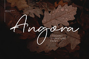 Angora, a Script Font by Omotu Studio (Thumbnail 1 of 12)