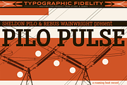 Stint Condensed Pro Family, a Serif Font by Stiggy & Sands (Thumbnail 2 of 5)